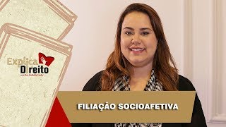 Explica Direito Filiação Socioafetiva  2019 [upl. by Zucker]